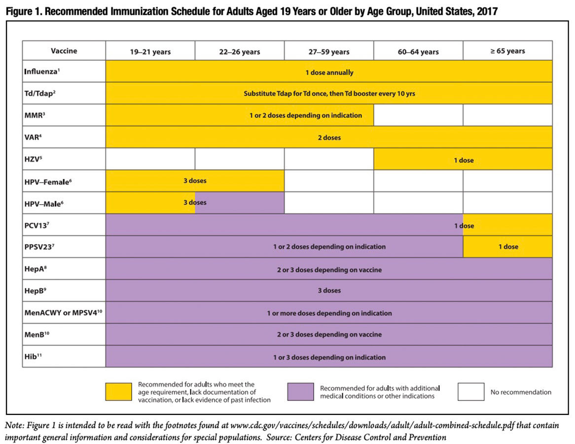 Figure 1: Recommended Immunization Schedule for Adults Aged 19 Years or Older by Age Group, United States, 2017