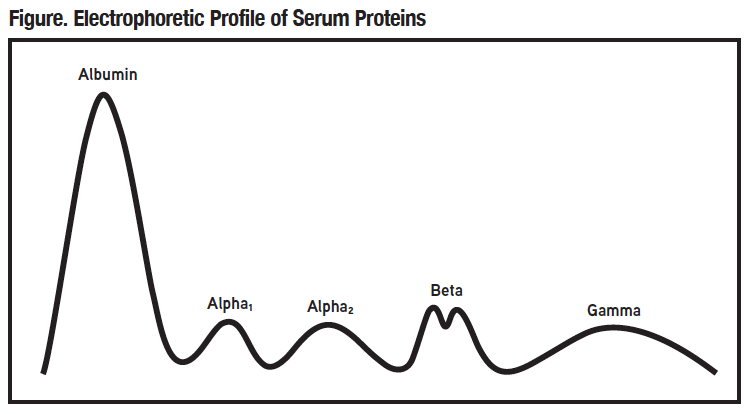 A Brief History of Immunity and Immunoglobulins