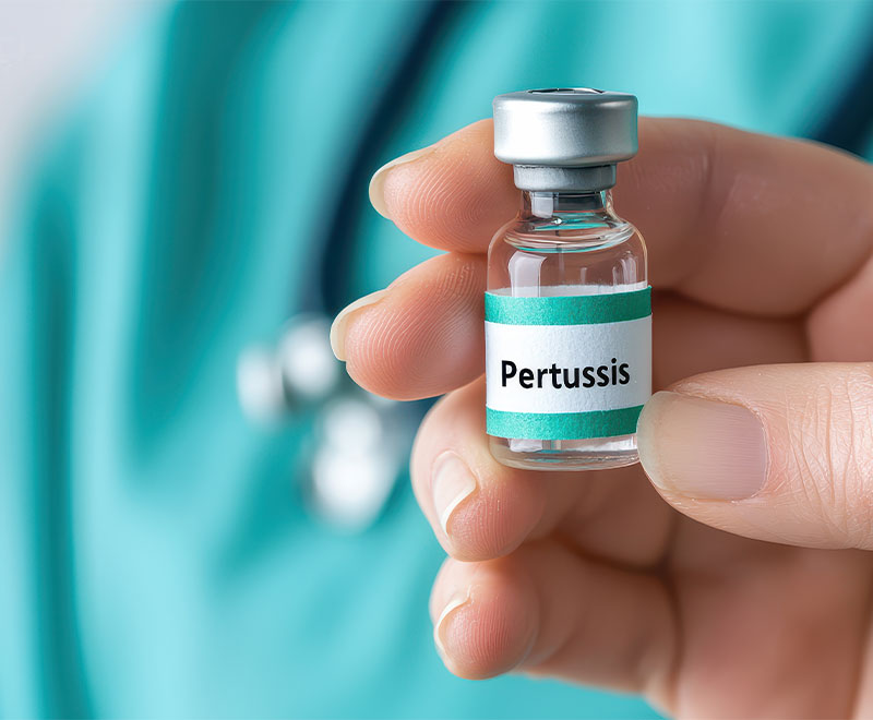 Photo of a hand holding a vial of pertussis vaccine