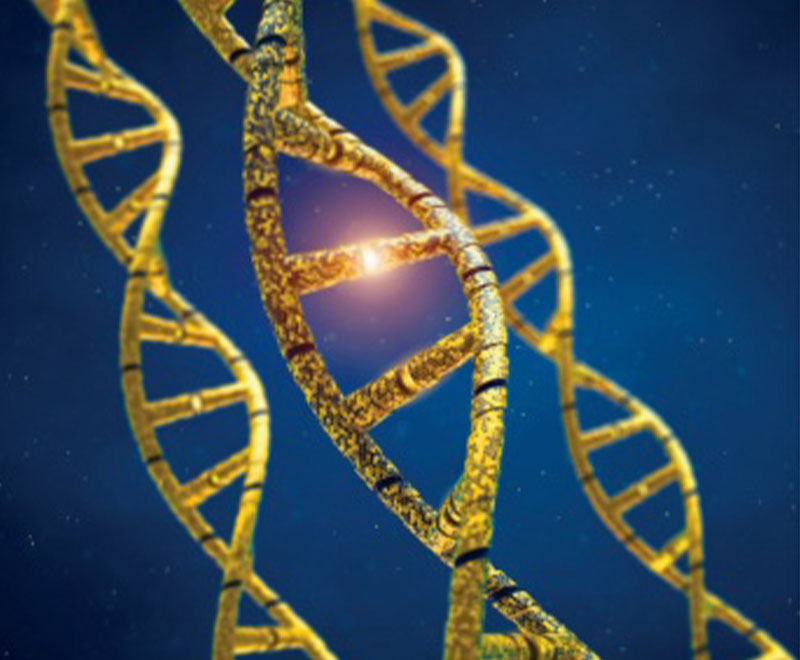 DNA illustration