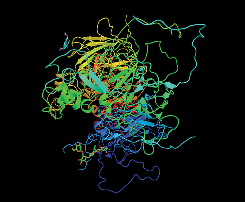 Computer-generated molecular model of human factor VIII