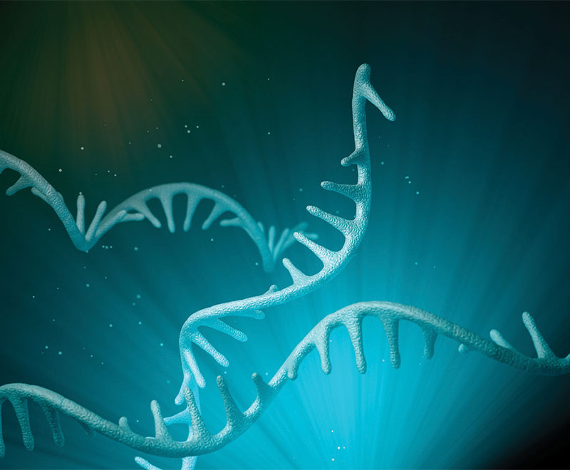 Image of DNA