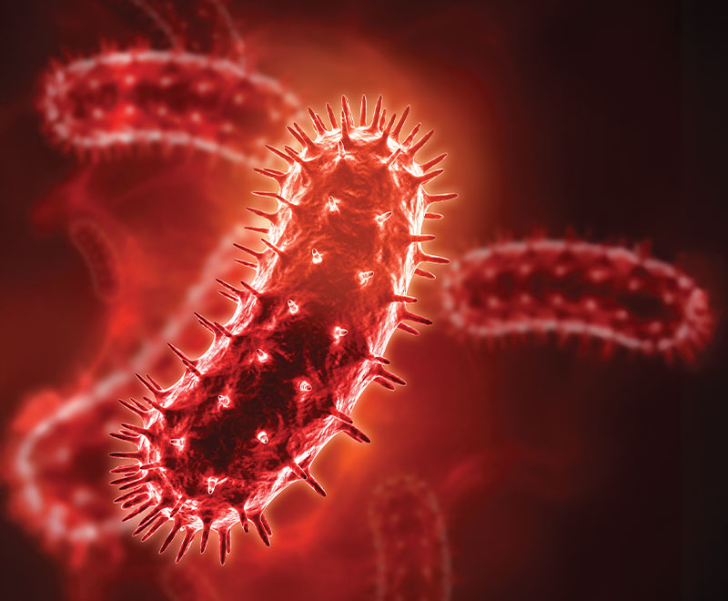 Illustration of a rabies virus