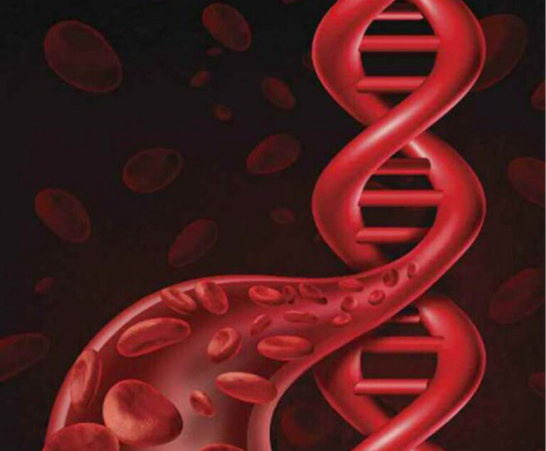 Illustration of DNA/blood vessel