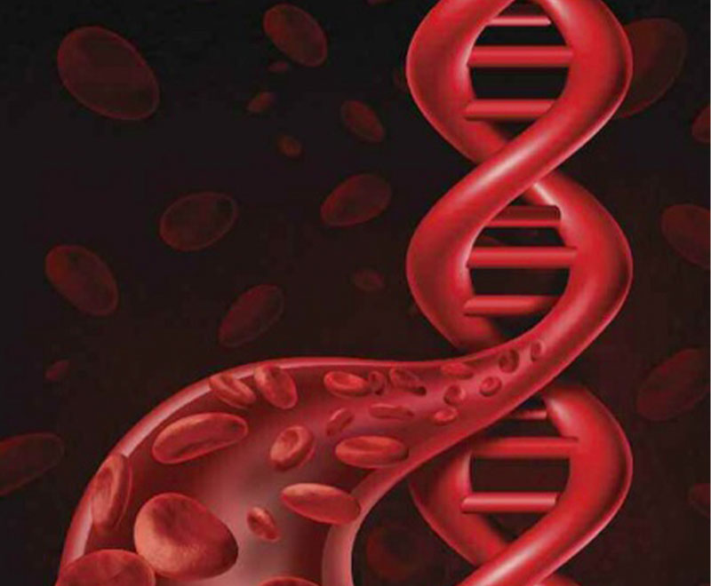 Illustration of DNA/blood vessel