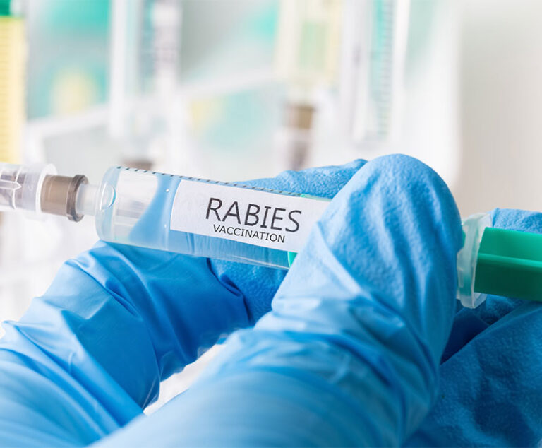 Image of a healthcare worker holding a vial of rabies vaccine