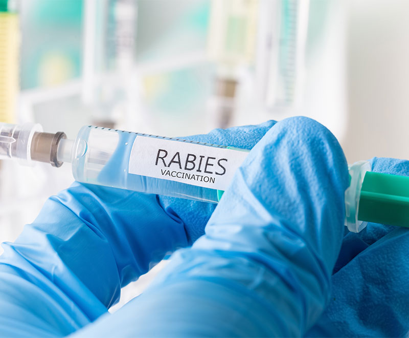 Image of a healthcare worker holding a vial of rabies vaccine