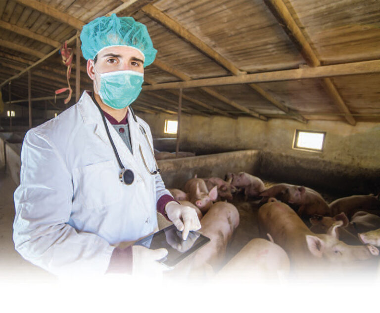 Zoonotic Diseases: An Emerging Global Health Challenge