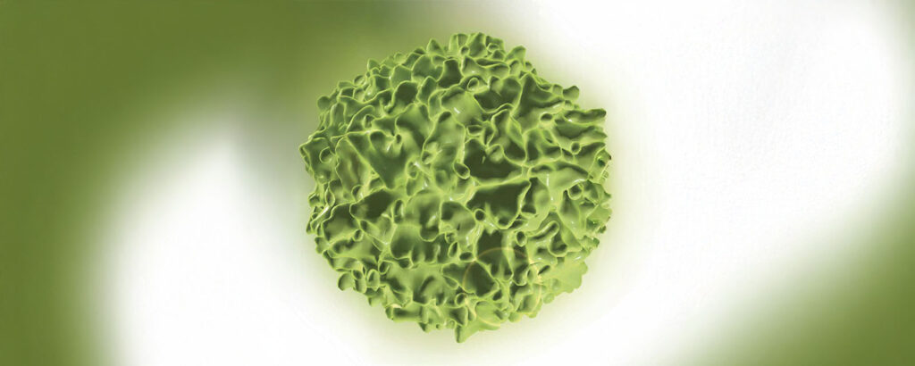 Update on Polio and Post-Polio Syndrome banner