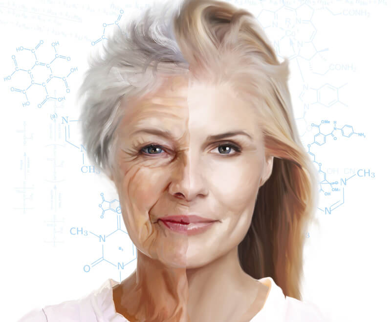 BioSupply Trends Quarterly Fall 2013 Anti-Aging Medicine