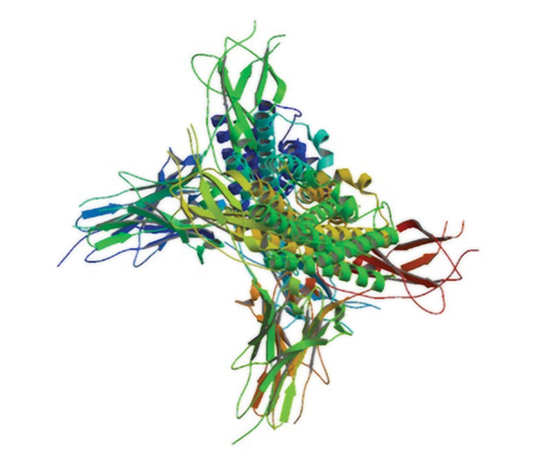 Model, structure of filgrastim, European-Bioinformatics Institute (Wikipedia)