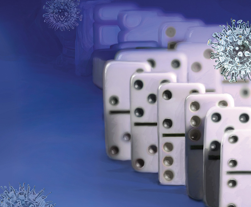 BioSupply Trends Quarterly Summer 2009 Influenza Domino Effect