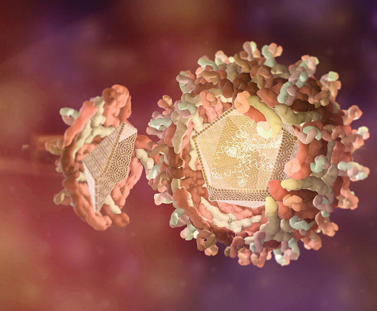 Close up concept image of a virus.