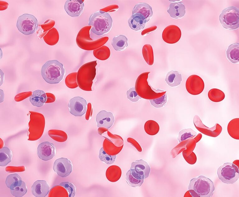 Concept graphic of blood cells.